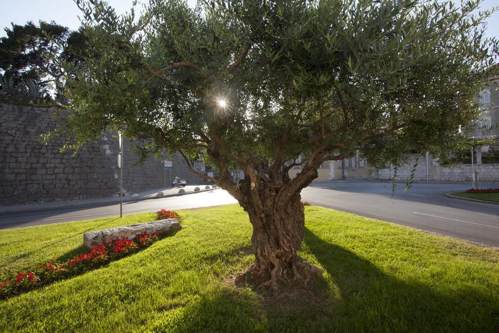 Apartmani Luca Split Luaran gambar